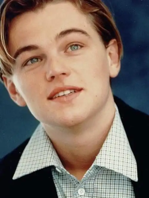 莱昂纳多·迪卡普里奥!