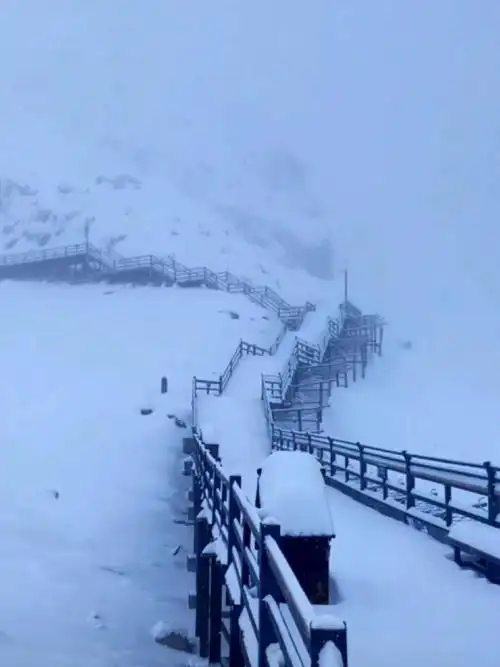 雪山下雪雪地自然风景音乐视频素材