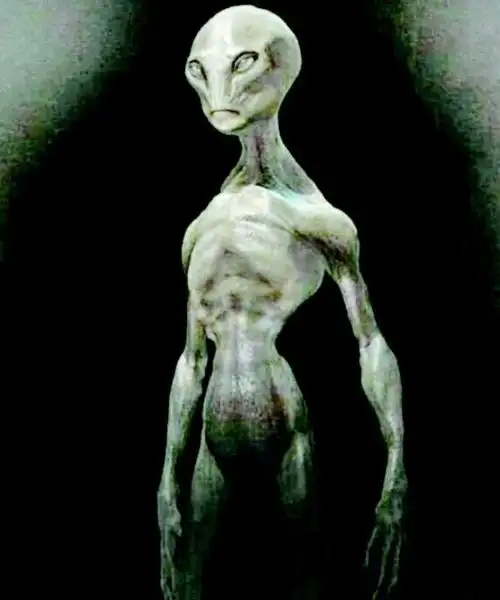 美国保留有外星人的遗体 外星人遗体解剖资料