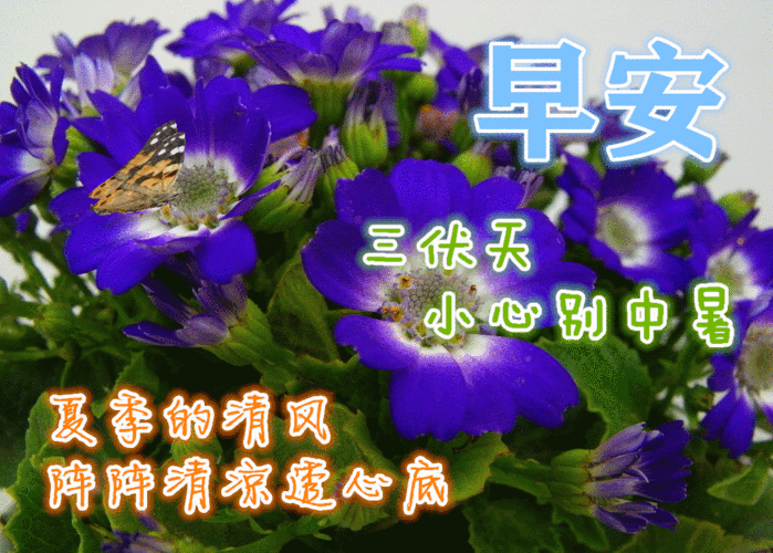 早上好动态表情图片大全,三伏天早晨好动图美图大全