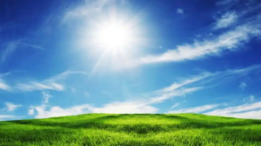 英文名sunny翻译成汉语是什么意思?