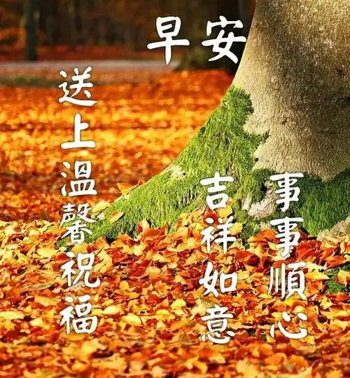 创意唯美的朋友圈早上好带祝福语好看的清晨早安问候语图片带字精选