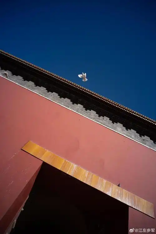 冬天的北京故宫 摄影