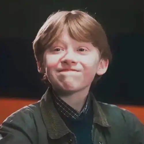 小时候的罗恩太适合做头像啦,和赫敏头像一起做成情头,家人们,简直不