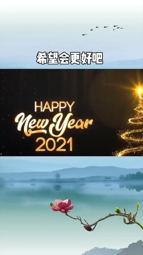 "马上就要2021年了给理想留点时间熬过低谷繁华自现"