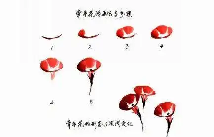 国画教程刘存惠老师教你画牵牛花