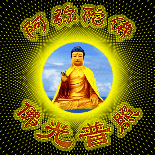 阿弥陀佛!深圳新闻网综合自深圳轨道办,新华社,深圳商报小编推荐