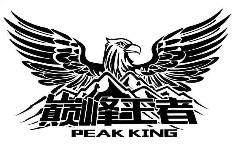 巅峰王者  em>peak /em>  em>king /em>