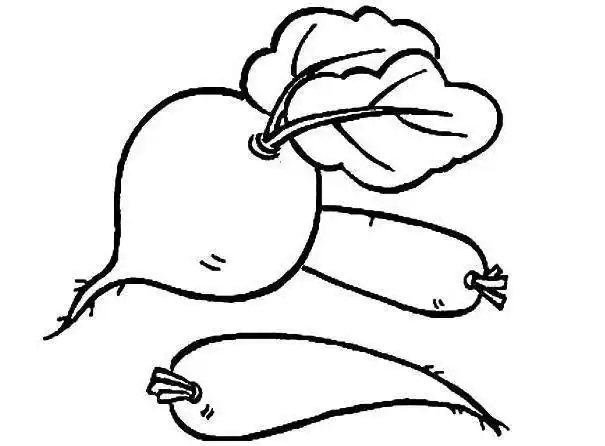 萝卜简笔画 萝卜简笔画图片 - 水彩迷