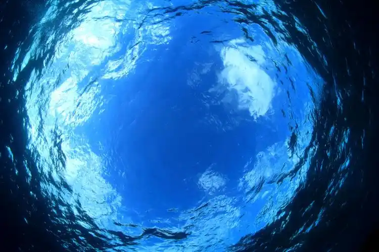 卡通角色游泳元素小孩学游泳夏天夏日夏季玩水png素材蓝色大海海豚鱼