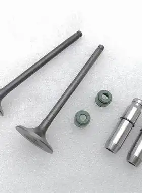 适用ktt摩托车大阳dy150大运150/cbf150战神sdh150-f气门导管油封