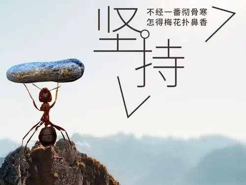 持之以恒,坚持不懈——黄屯支行回头看工作剪影