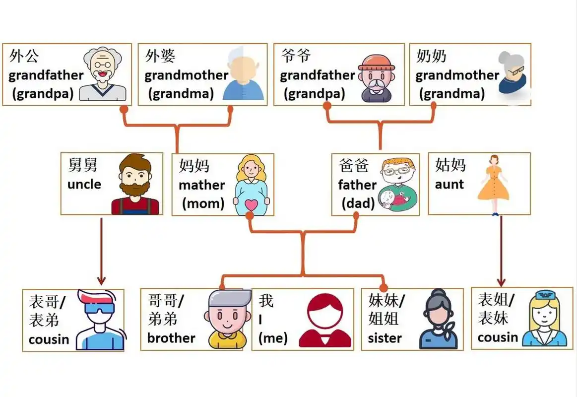 英语词汇|英美家庭称谓一张图搞懂,建议收藏 英语家庭称谓要比中文