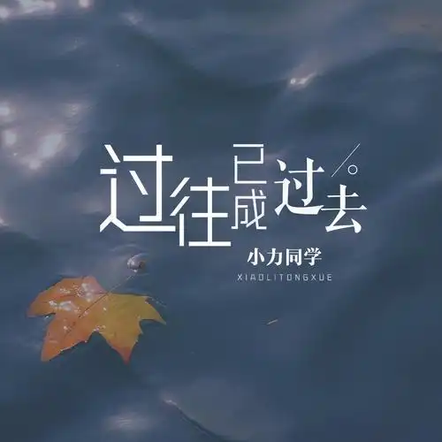 过往已成过去(伴奏)