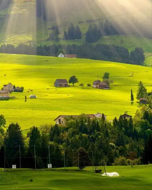 每个人都喜欢充满阳光的日子,过着美好的生活