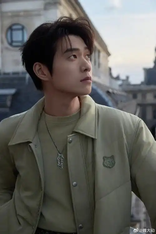 黑粉向魏大勋公开致歉##魏大勋体谅黑粉家境接受调解##网友就诽谤