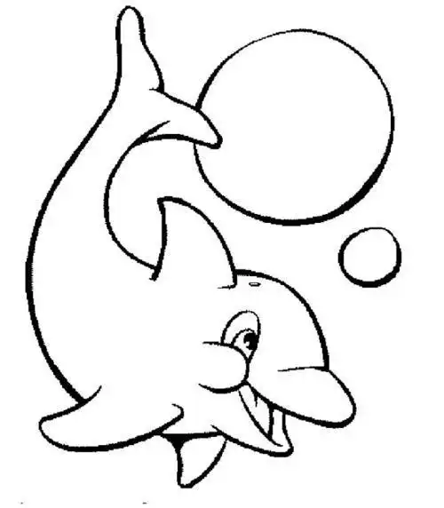 卡通动物简笔画可爱海豚的卡通简笔画3可爱的小海豚怎么画海豚简笔画