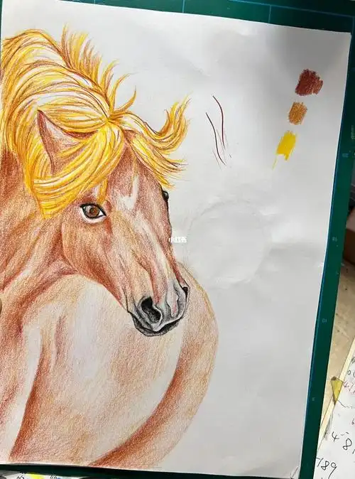 彩铅马临摹