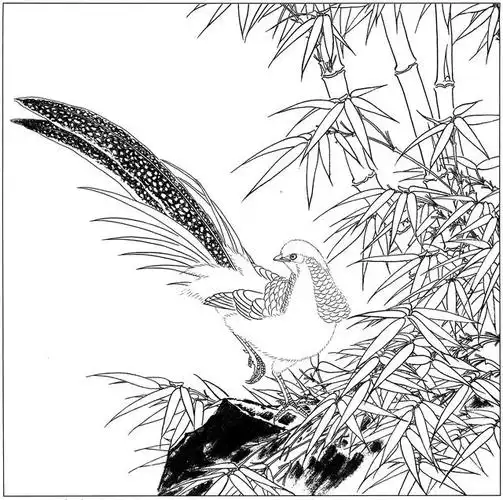 高清工笔画白描,动物篇!收藏好了,有空临摹欣赏!