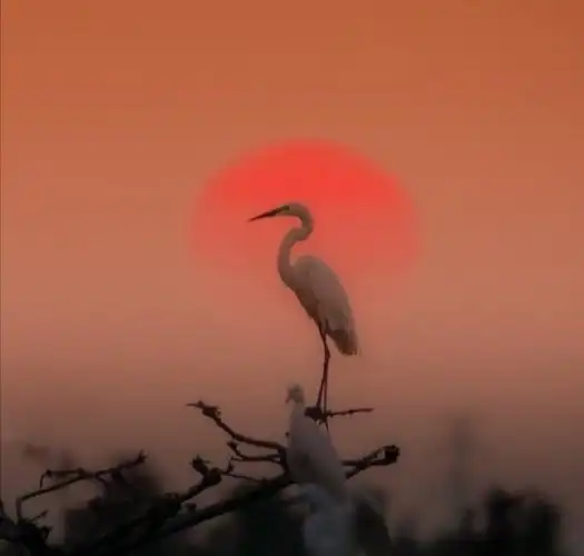 让心归于平静的哲理说说,句句入骨,过目不忘!