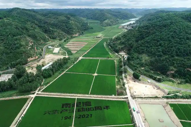 南泥湾生态革命营造更美江南