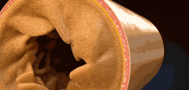 内部有很多褶皱,即皱襞,皱襞上还有很多呈绒mao状凸起的小肠绒mao,这