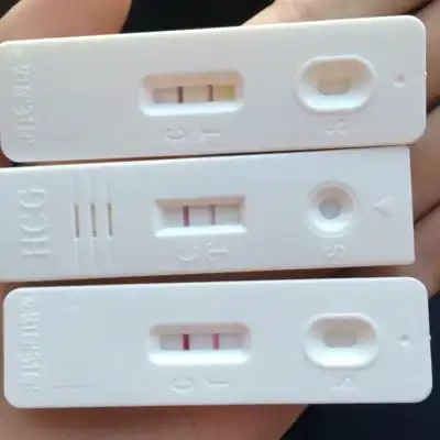 我是双子宫,连续几天测试验孕棒都是2条杠,小腹有疼痛感,是怀孕吗?