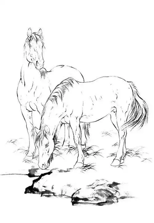 100副老虎马等各种动物的白描合集太全了转发收藏了