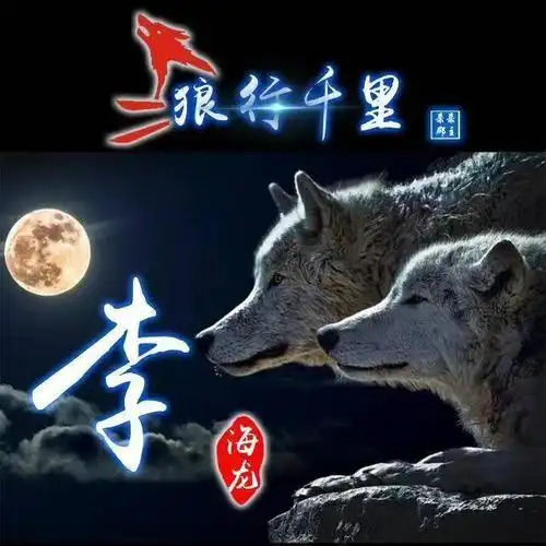 狼主题微信头像:你的姓氏不该这么平淡,与狼共舞霸气尽显