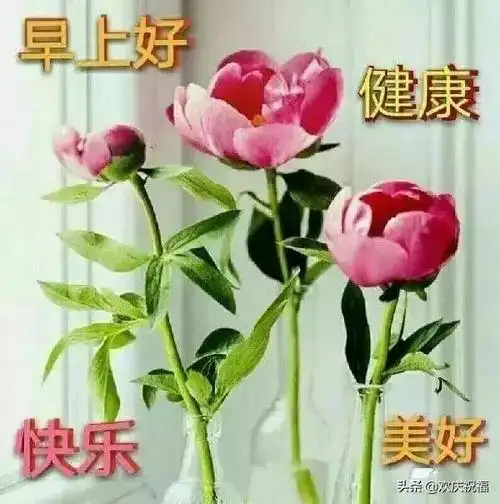 2019最新版早上好简短暖心祝福句子 温馨早上好祝福语录图片