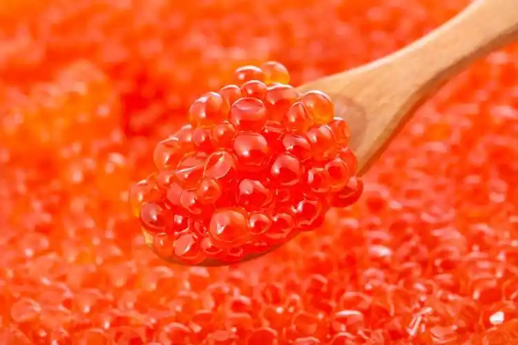 3点就能分辨_什么_丘疹_黏膜