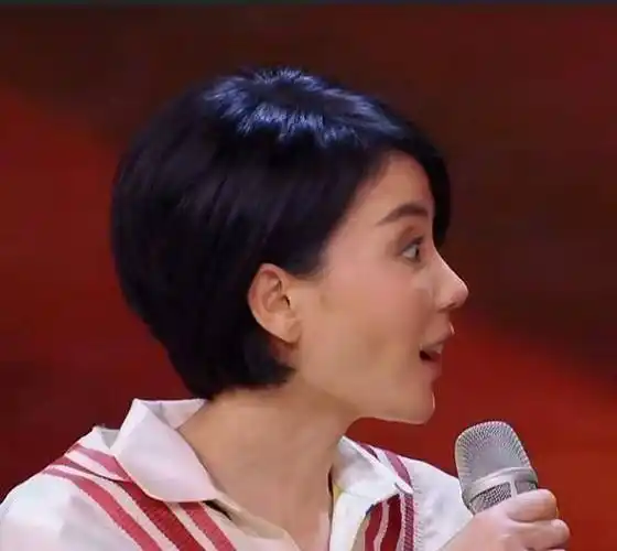 王菲:胡说!全场观众笑了