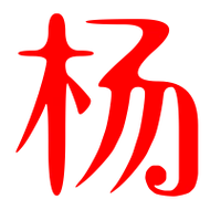 杨艺术字体杨头像杨笔顺杨同音同调字查询