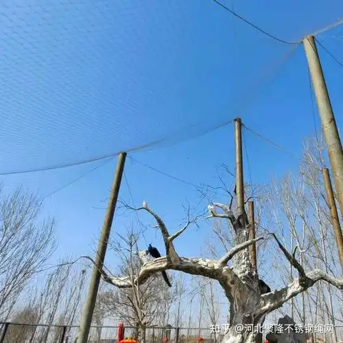 鸟语林网@鸟笼舍网@不锈钢绳编织鸟网