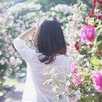 微信背影风景或花草_微信头像图片大全