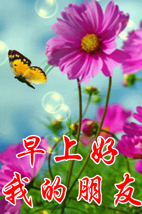 微信清晨早上好动态图片大全最美早上好动态图片