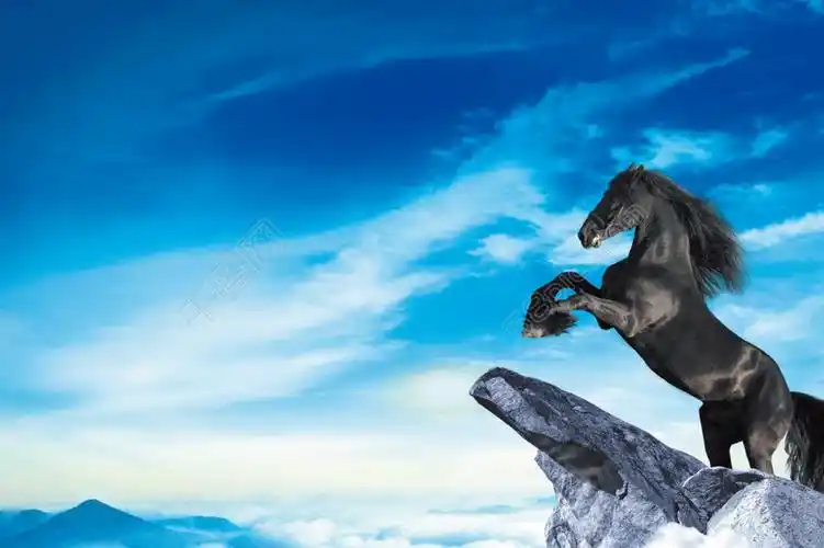 黑马 骏马 大气背景图