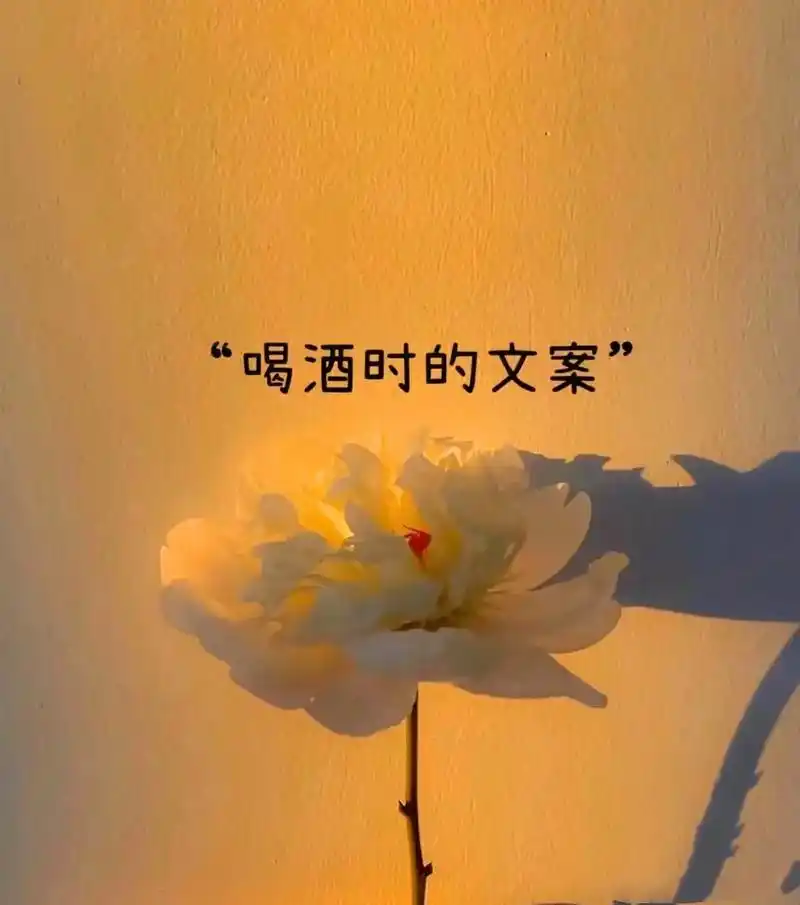 文案|"喝酒时文案"97  不品人间的酒,不知其中的醉,酒杯 - 抖音