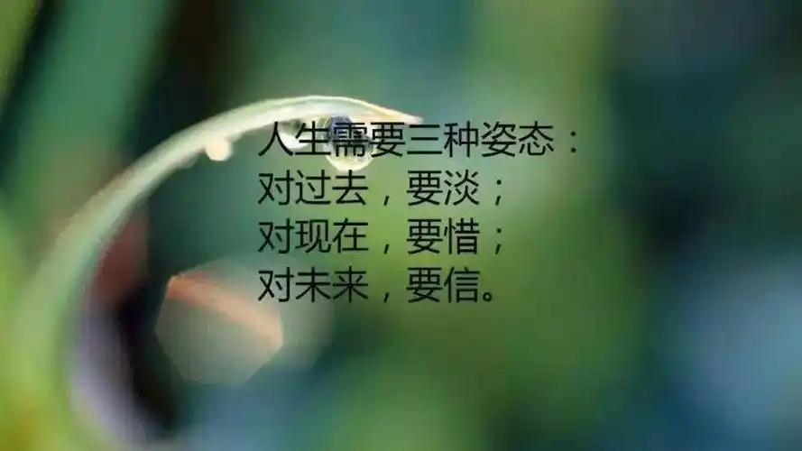 2,人生中出现的一切,都无法占有,只能经历.