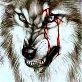 血狼头像图片大全霸气最凶的血狼头像