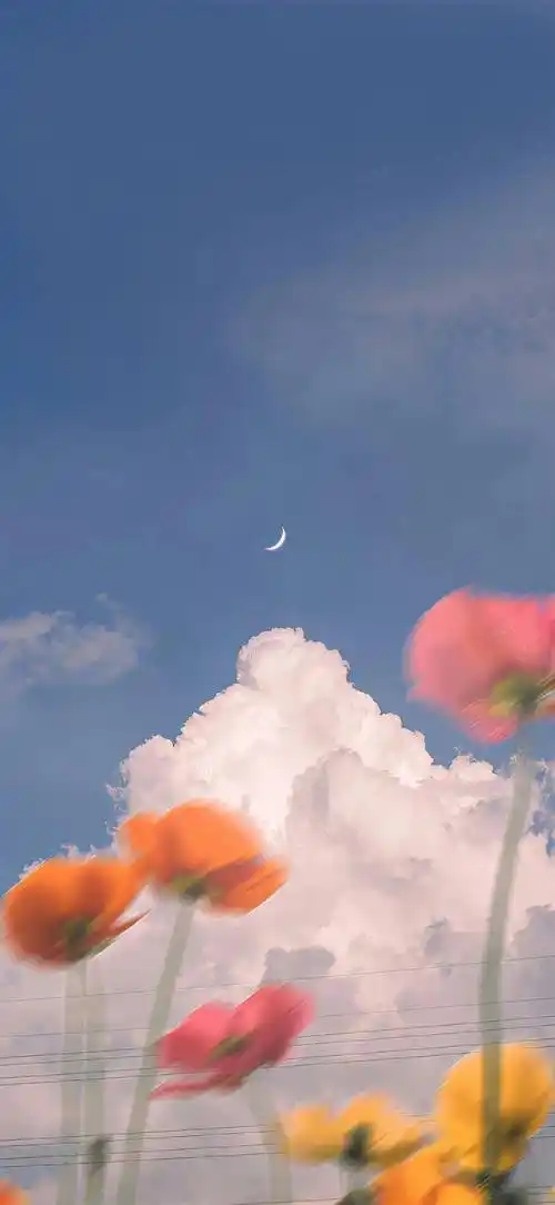 壁纸精选 | ins高级质感全屏壁纸