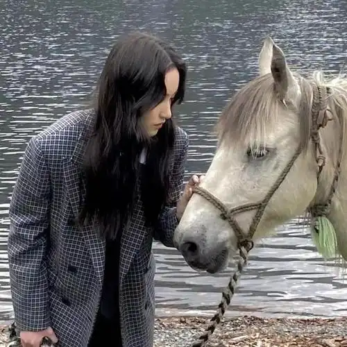 单身贵族头像,单身贵族头像(不要会员)(单身贵族头像 单身限定)