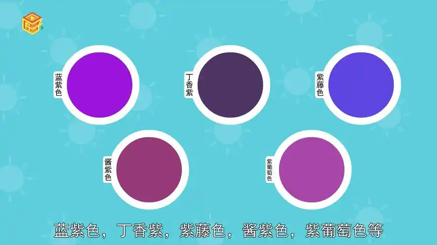 紫色分为哪几种紫