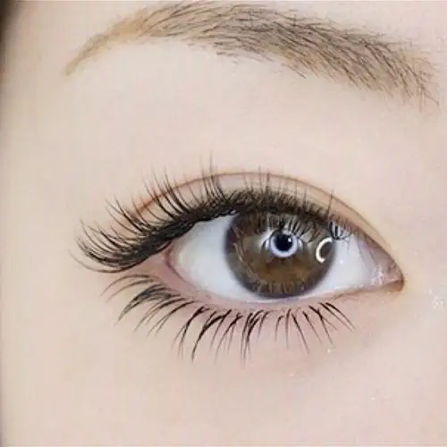 美睫- 夏日自然裸妆感上下睫套餐300根