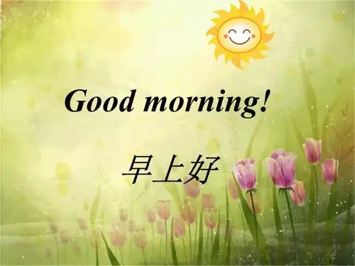 新概念小学生英语lesson2 goodmorning.ppt