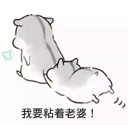 爱老婆专用表情包_老婆_撩妹撩汉表情