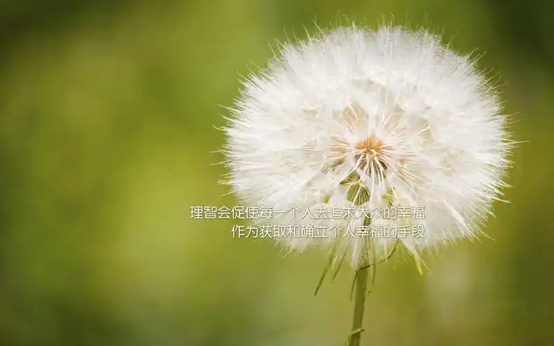 青春幸福的文字图片电脑桌面壁纸下载