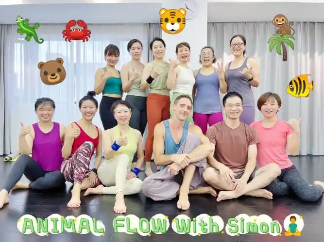 第一次体验animalflowavecsimon