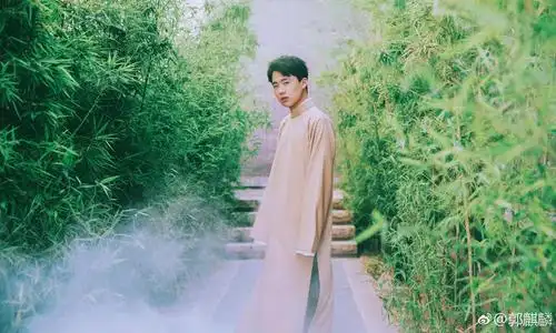 郭麒麟拱手抱拳称您声少班主