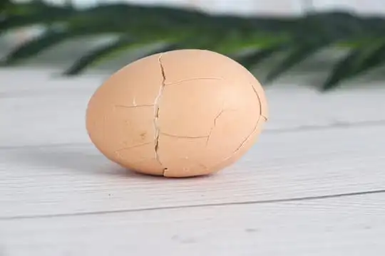 打碎的鸡蛋图片